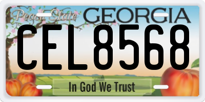 GA license plate CEL8568