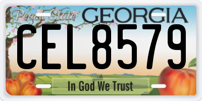 GA license plate CEL8579