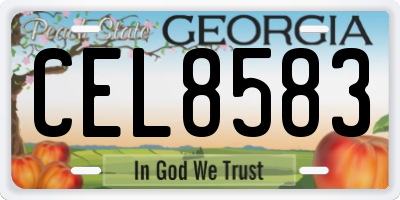 GA license plate CEL8583