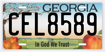 GA license plate CEL8589