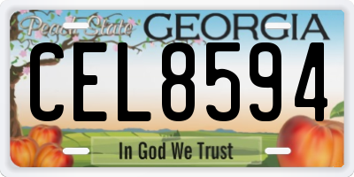 GA license plate CEL8594