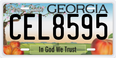 GA license plate CEL8595