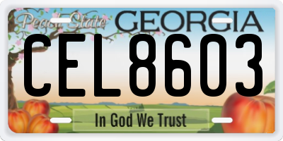 GA license plate CEL8603