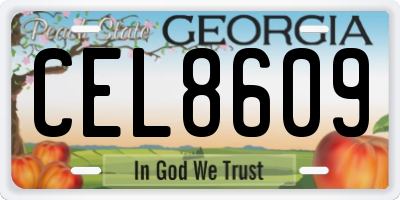 GA license plate CEL8609