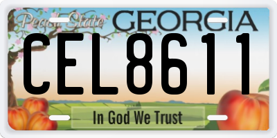 GA license plate CEL8611