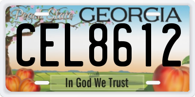 GA license plate CEL8612