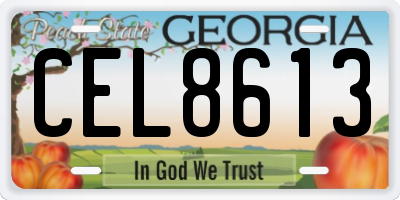 GA license plate CEL8613