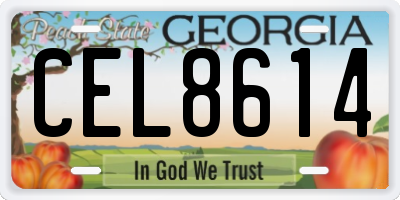GA license plate CEL8614