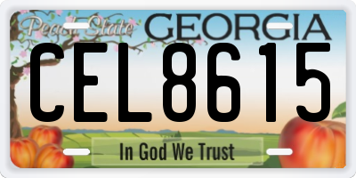 GA license plate CEL8615