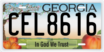 GA license plate CEL8616
