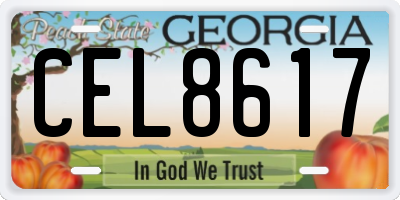 GA license plate CEL8617