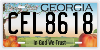 GA license plate CEL8618