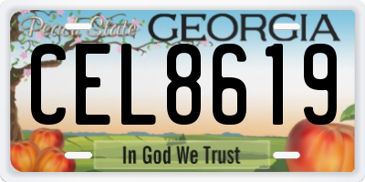 GA license plate CEL8619