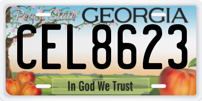 GA license plate CEL8623