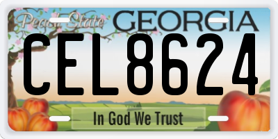 GA license plate CEL8624