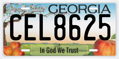 GA license plate CEL8625
