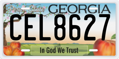 GA license plate CEL8627