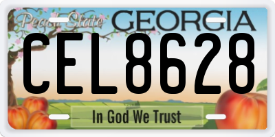 GA license plate CEL8628