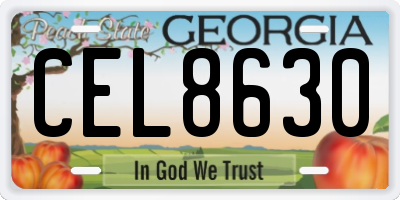 GA license plate CEL8630