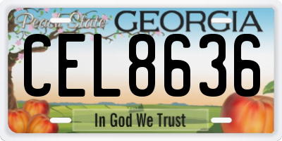 GA license plate CEL8636