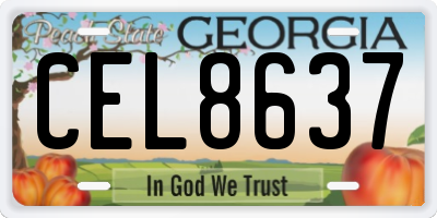 GA license plate CEL8637