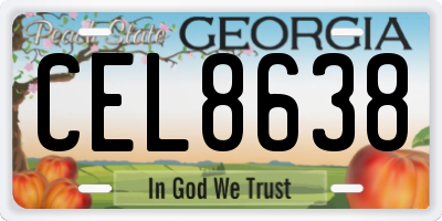 GA license plate CEL8638