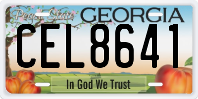 GA license plate CEL8641