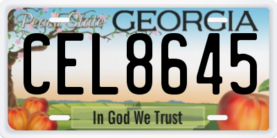 GA license plate CEL8645