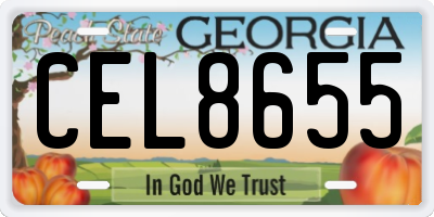 GA license plate CEL8655