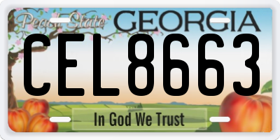 GA license plate CEL8663