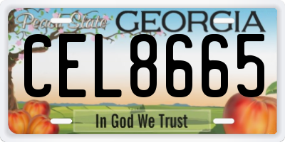 GA license plate CEL8665