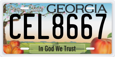 GA license plate CEL8667