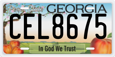 GA license plate CEL8675