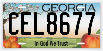 GA license plate CEL8677