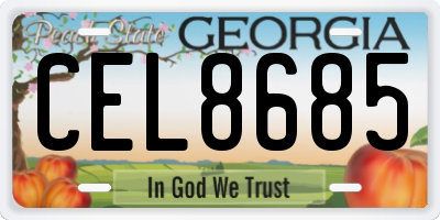 GA license plate CEL8685