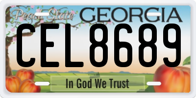 GA license plate CEL8689