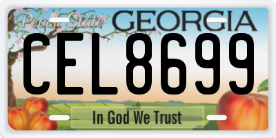 GA license plate CEL8699