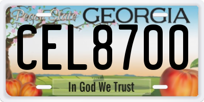 GA license plate CEL8700