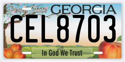 GA license plate CEL8703