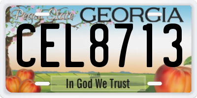 GA license plate CEL8713