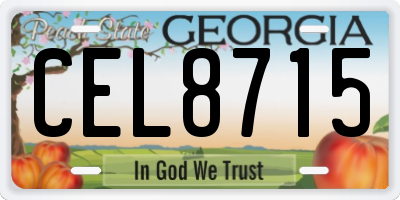 GA license plate CEL8715