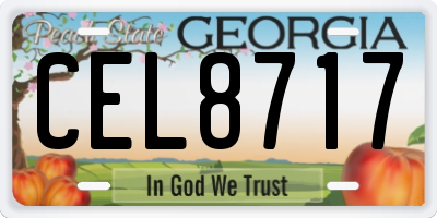 GA license plate CEL8717