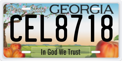 GA license plate CEL8718