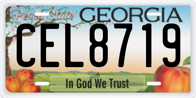 GA license plate CEL8719