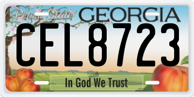GA license plate CEL8723