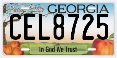 GA license plate CEL8725