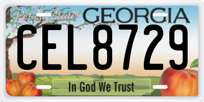 GA license plate CEL8729