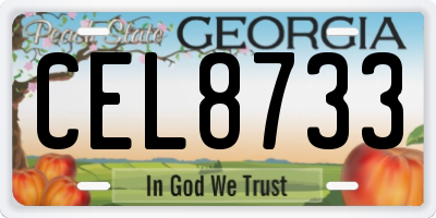 GA license plate CEL8733