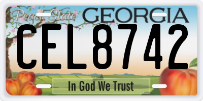 GA license plate CEL8742