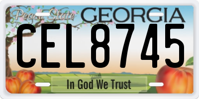GA license plate CEL8745